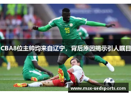 CBA8位主帅均来自辽宁，背后原因揭示引人瞩目