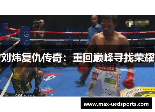 刘炜复仇传奇：重回巅峰寻找荣耀